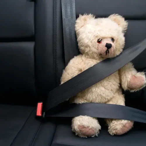 Teddy Bear wearing a Seatbelt