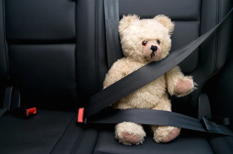 Teddy Bear wearing a Seatbelt